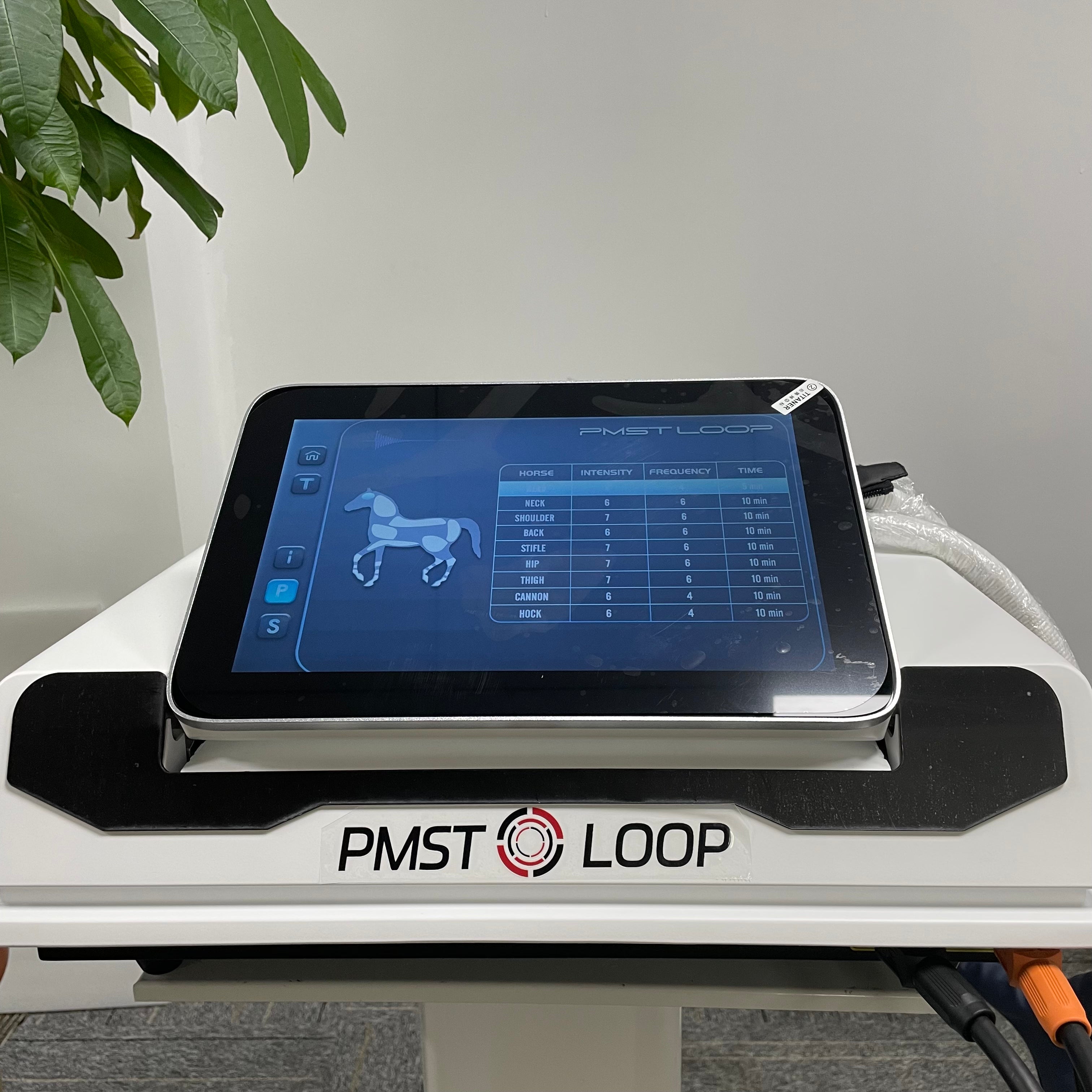 PEMF PMST LOOP Magnetic Therapy Machine for Horse Human Pain Rehabilitation