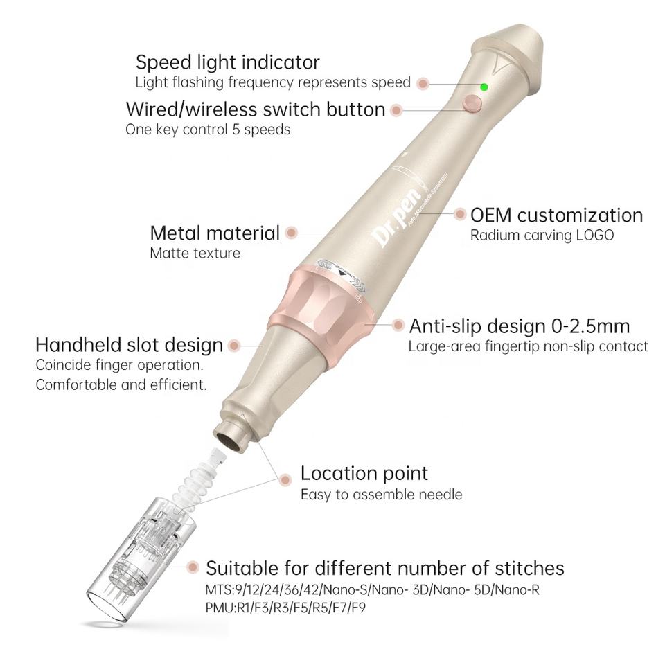 Electric Dermapen Rolling Skin care Treatment Dr Pen E30 with 2pcs Micro needle Derma Pen