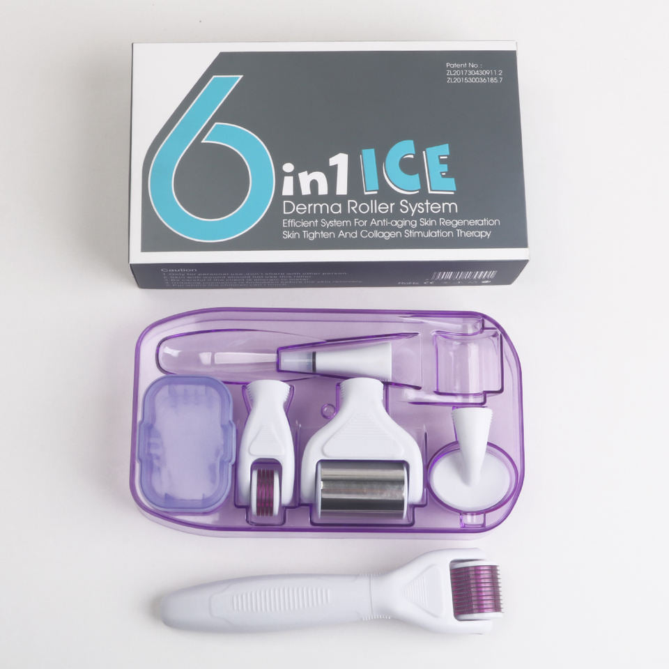6 in 1 ICE Derma Roller Anti Aging Skin Care For Face Body Massage Skin Rejuvenation